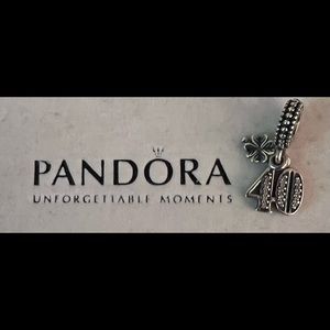 Pandora 40 charm